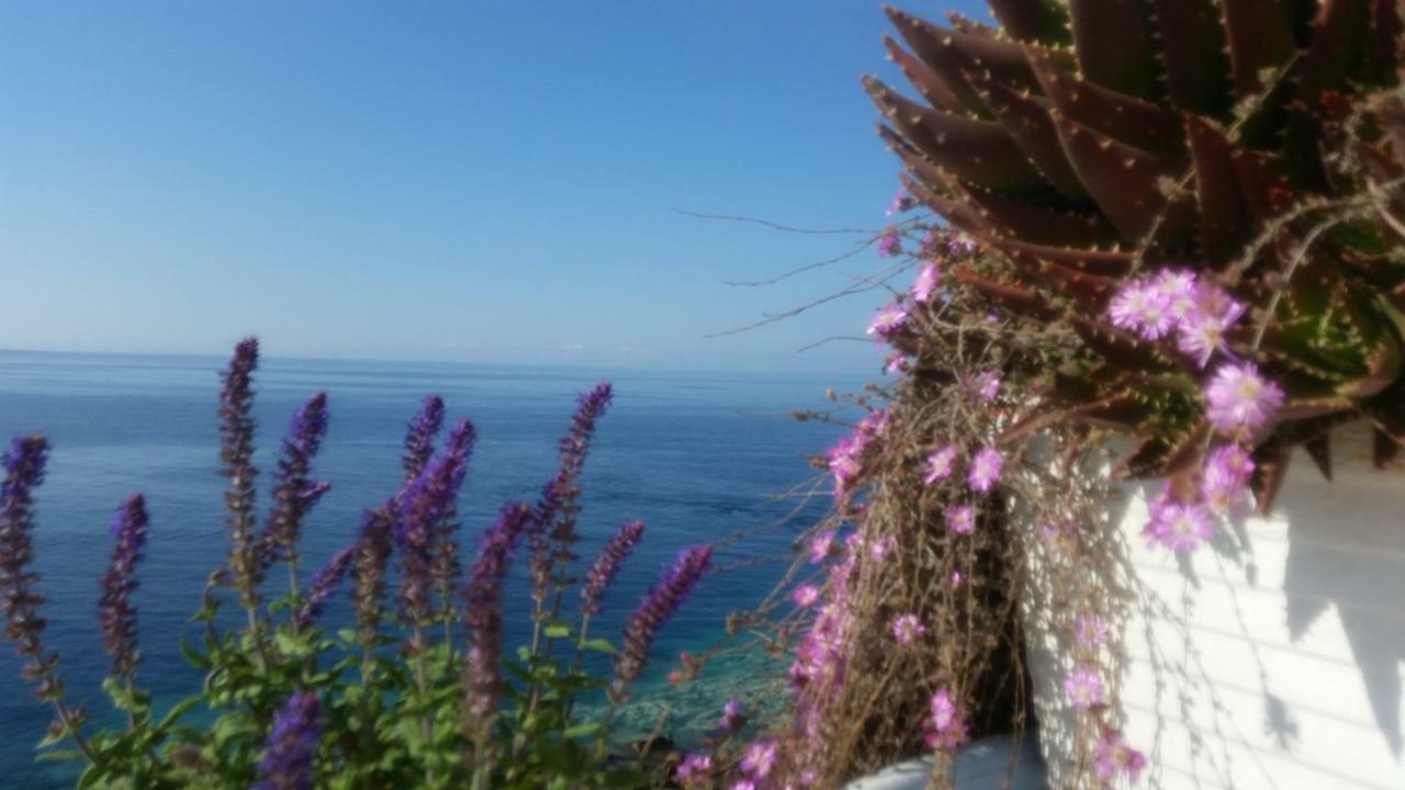 B&B Punta Cutieri 加利波利 外观 照片